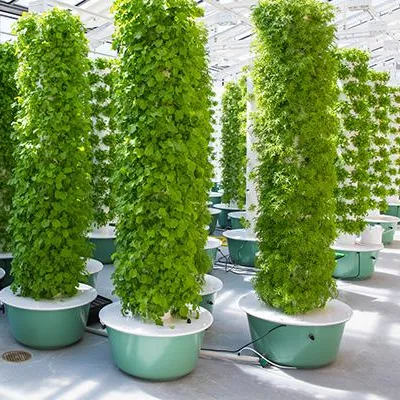 Hydroponic Tower Garden - Systemy ogrodnicze aeroponiczne z wieżami i