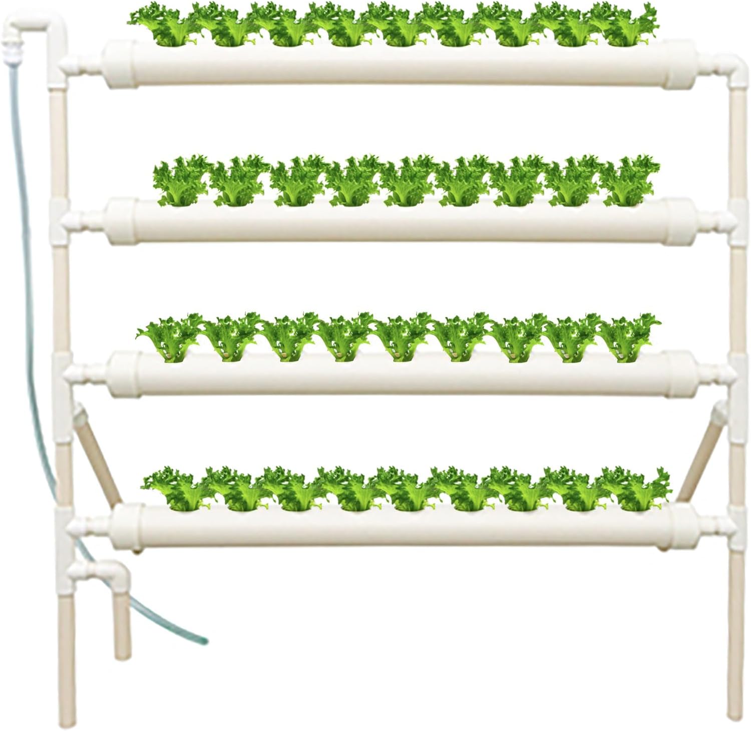 Hydroponic Growing System 36 Site - Zestaw do uprawy hydroponicznej, 36 otworów,