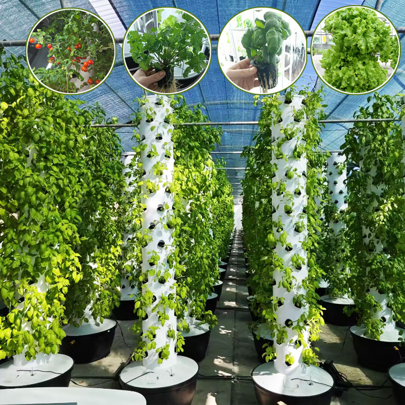 Hydroponic Tower Garden - Lyine Aeroponiczna Pionowa Farma Uprawowa Hydroponiczna