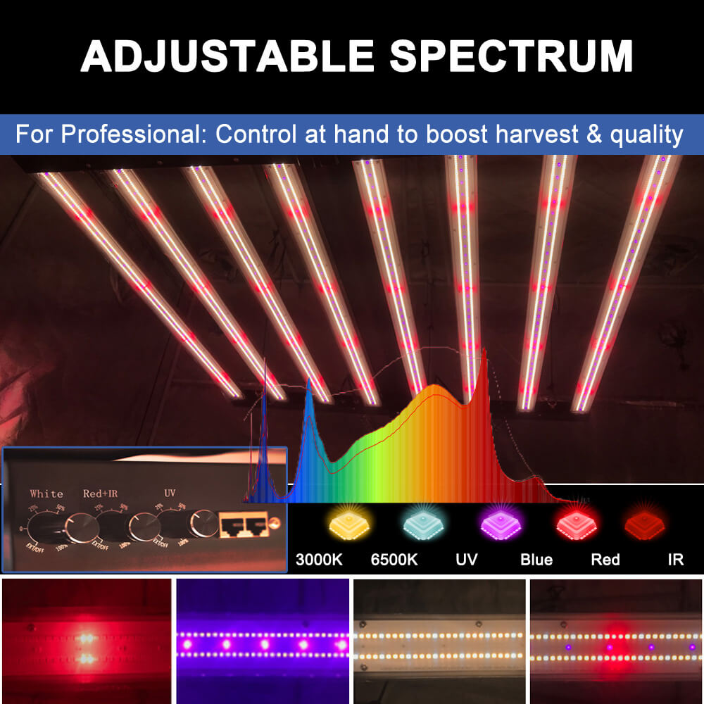 Amerykańskie lampy LED do upra – Led Grow Light 1000W Full Spectrum recenzja i cena