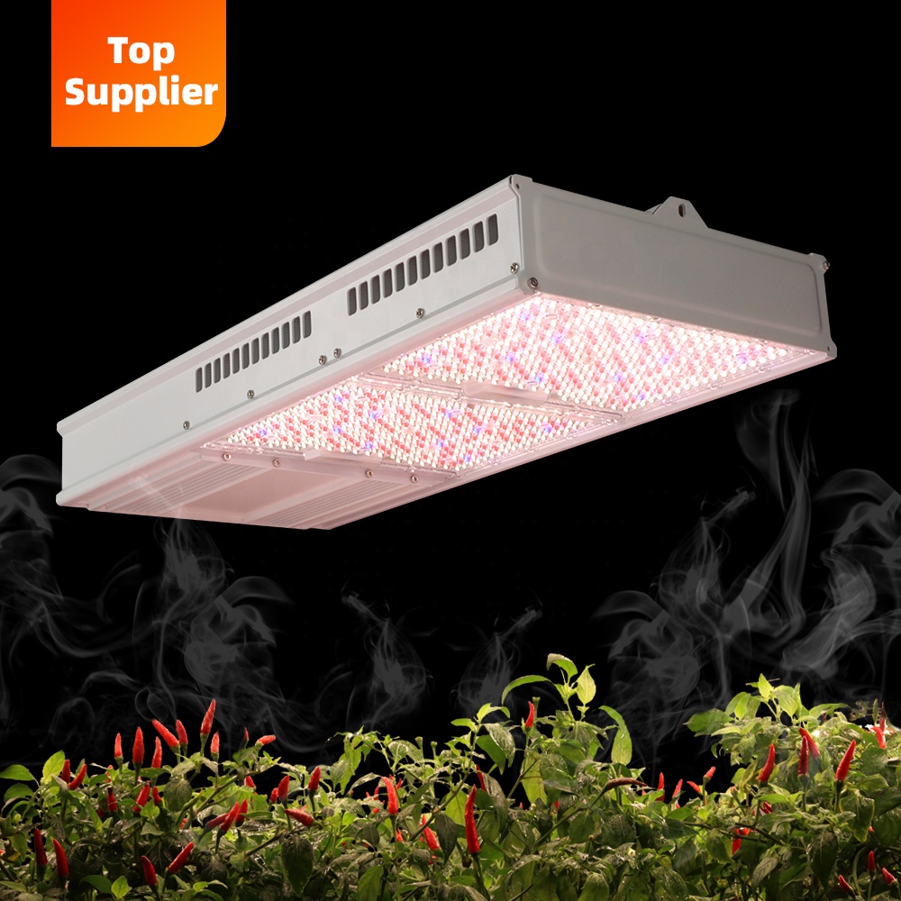 Ekonomiczna lampa LED do upraw – Led Grow Light 1000W Full Spectrum recenzja i cena