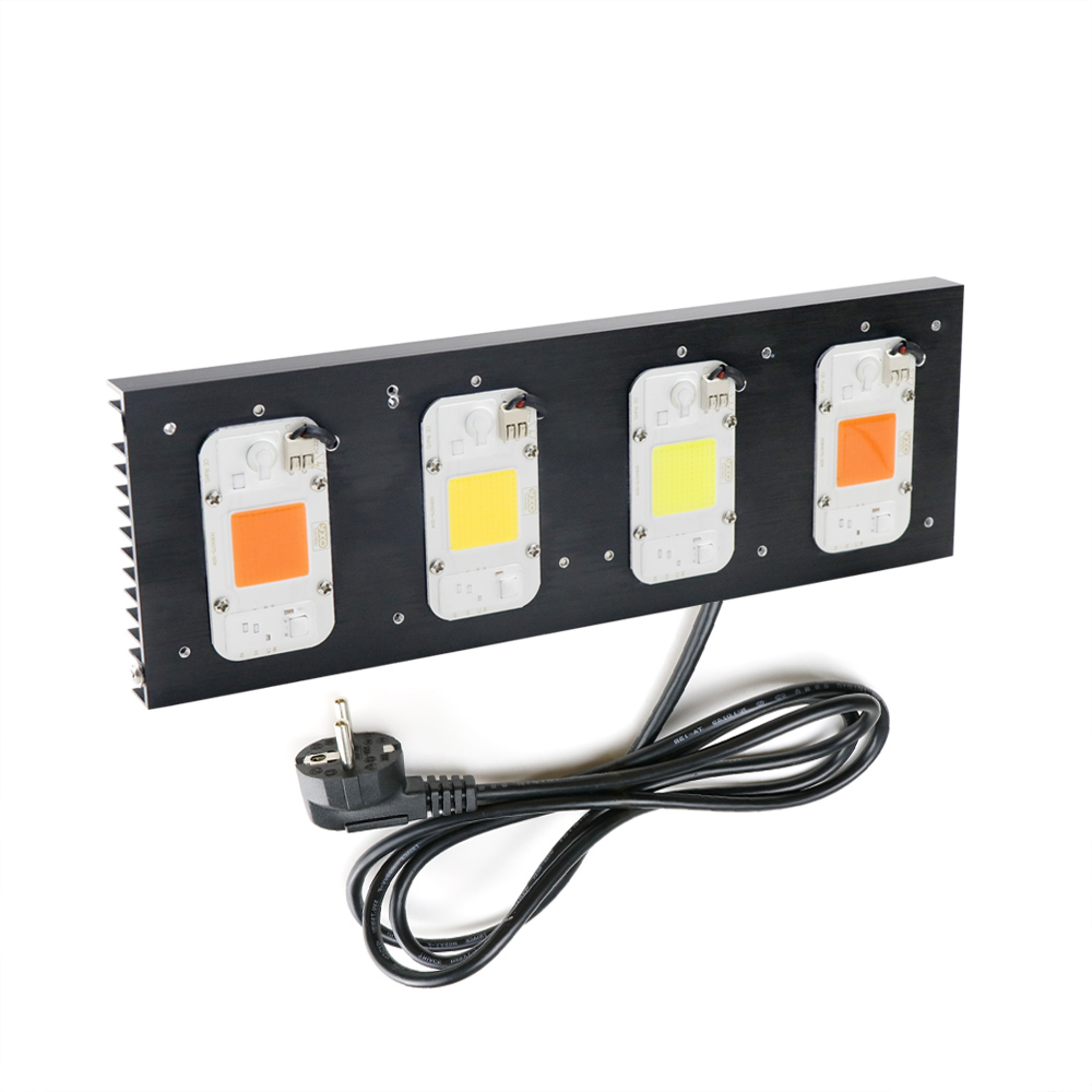 LED Plant Grow Light 1000W/200 – Led Grow Light 1000W Full Spectrum recenzja i cena