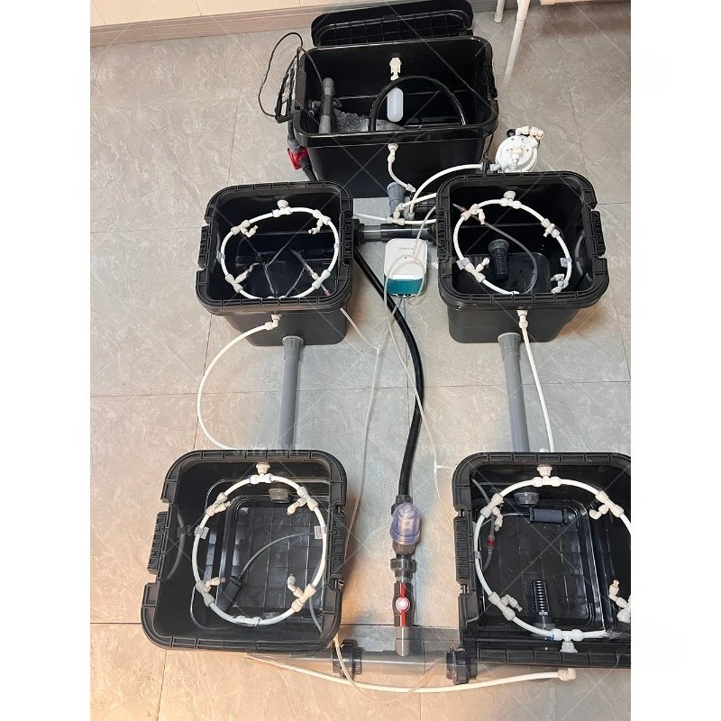 Automatyczny system nawadniani – Dwc Bucket System 5 Gallon recenzja i cena