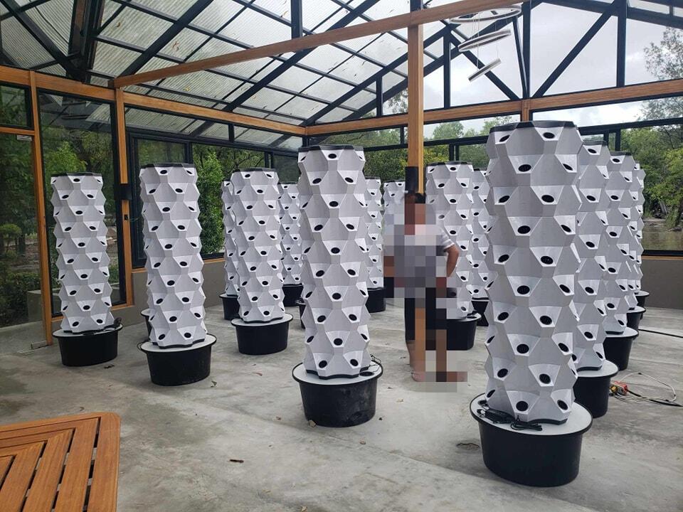 Wertykalna farma szklarniowa,  – Hydroponic Tower Garden recenzja i cena