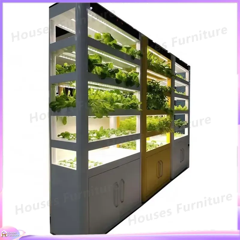 Automatyczny system hydroponic – Deep Water Culture Kit recenzja i cena