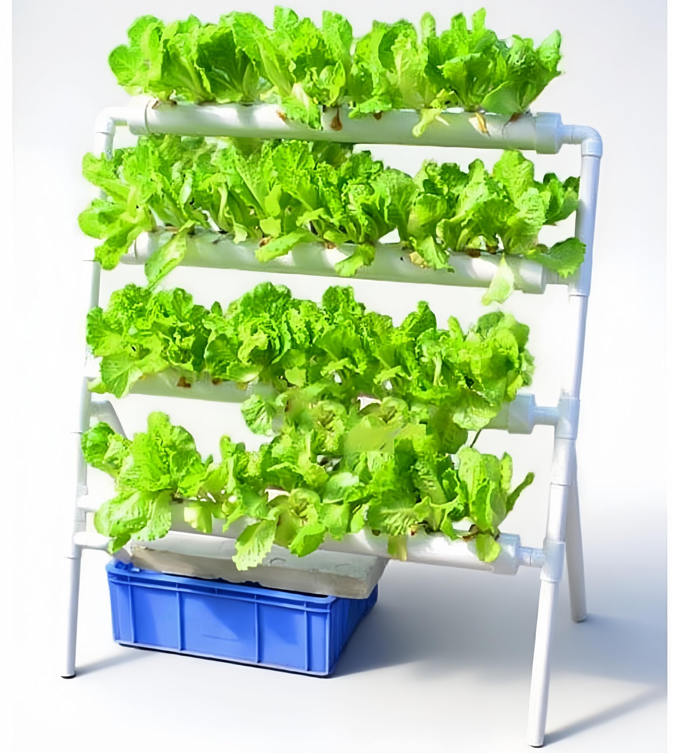 System hydroponiczny do uprawy – Hydroponic Growing System 36 Site recenzja i cena