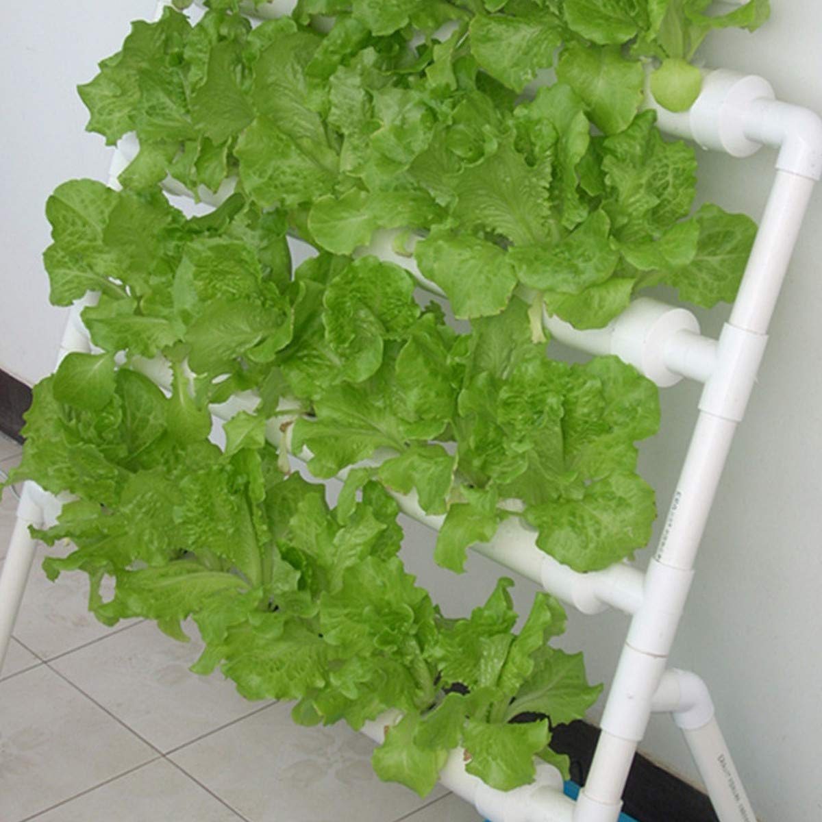 System hydroponiczny do uprawy – Hydroponic Growing System 36 Site recenzja i cena