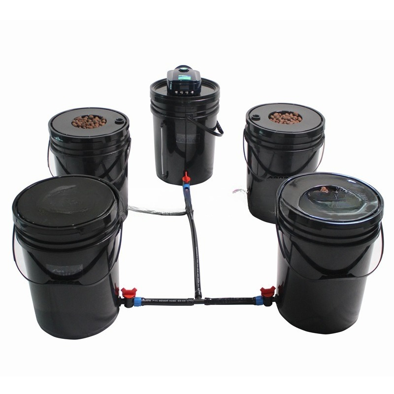 System hydroponiczny DWC z 1+4 – Deep Water Culture Kit recenzja i cena