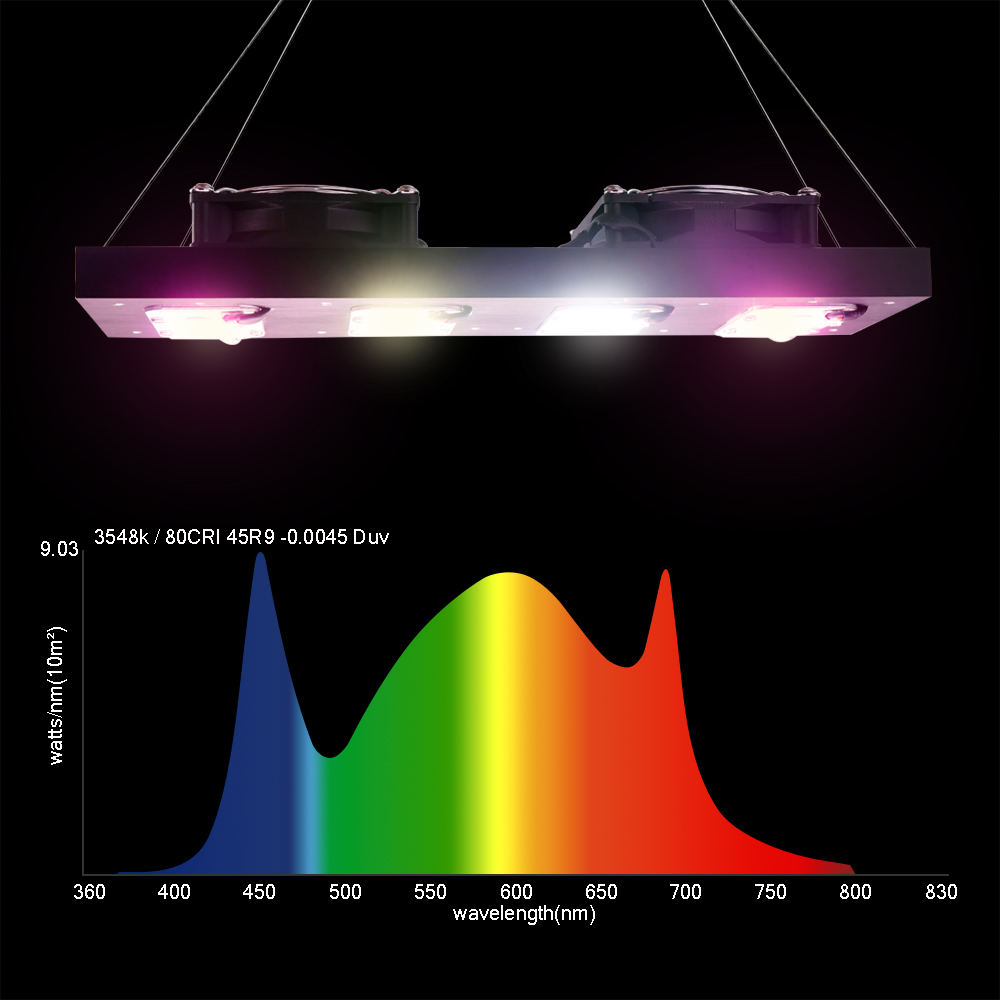 LED Plant Grow Light 1000W/200 – Led Grow Light 1000W Full Spectrum recenzja i cena