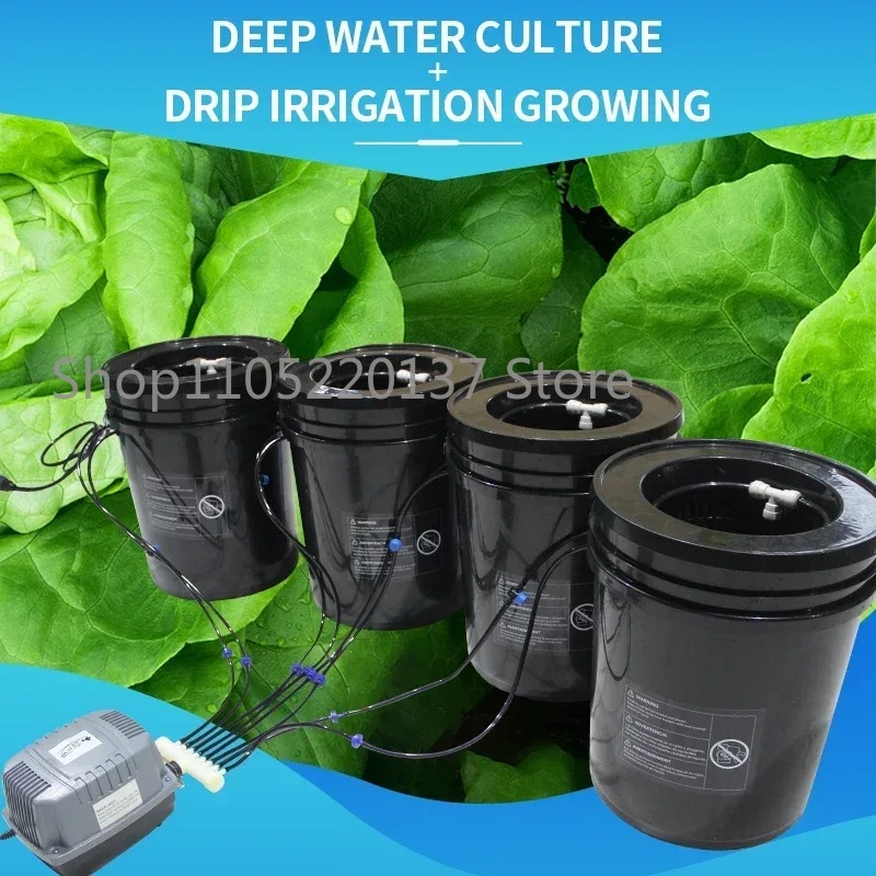 System hydroponiczny DWC z rec – Dwc Bucket System 5 Gallon recenzja i cena