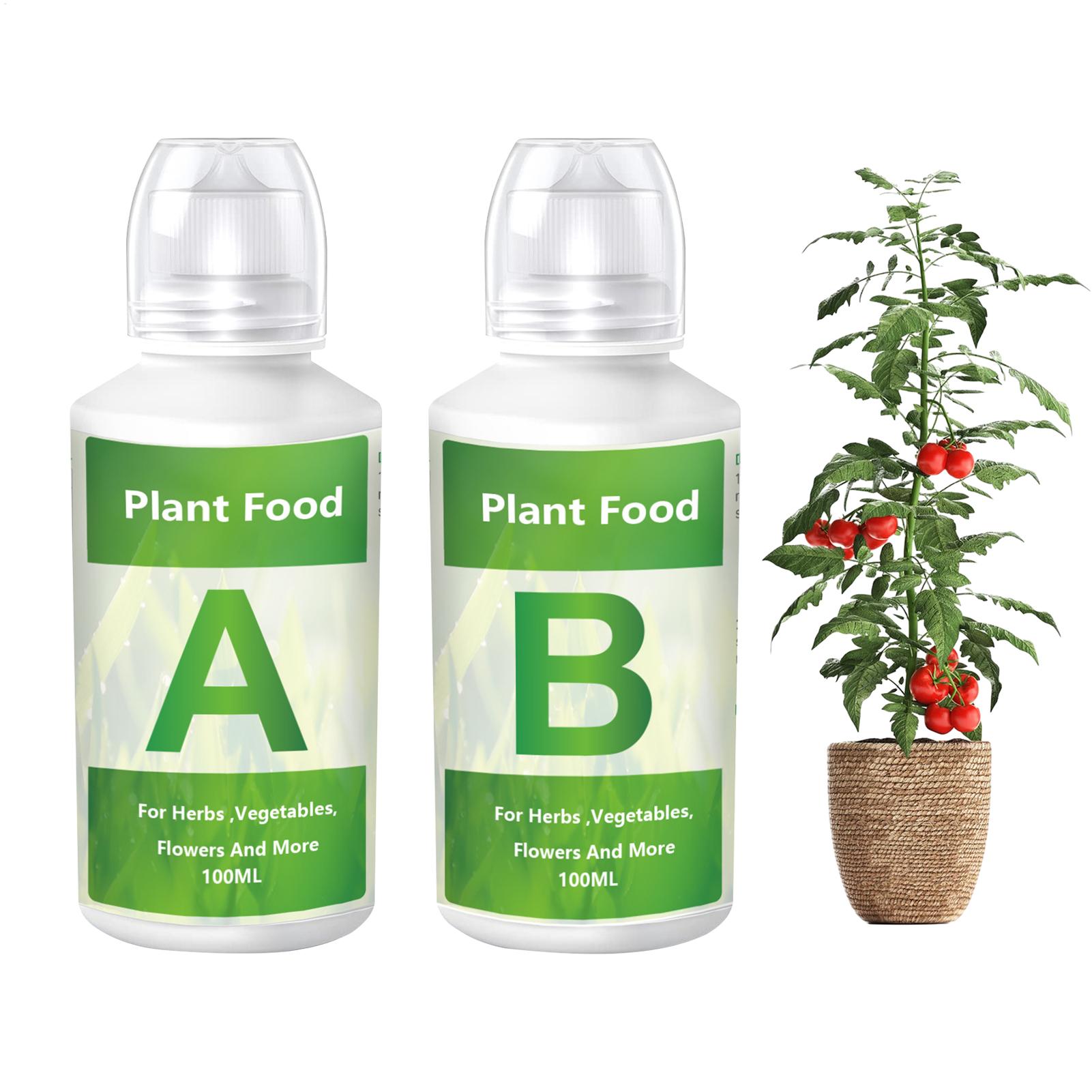 Zestaw nawozów hydroponicznych – Hydroponic Nutrient A B Set recenzja i cena