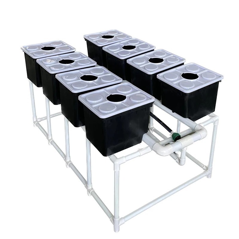 Automatyczny system nawadniani – Dwc Bucket System 5 Gallon recenzja i cena