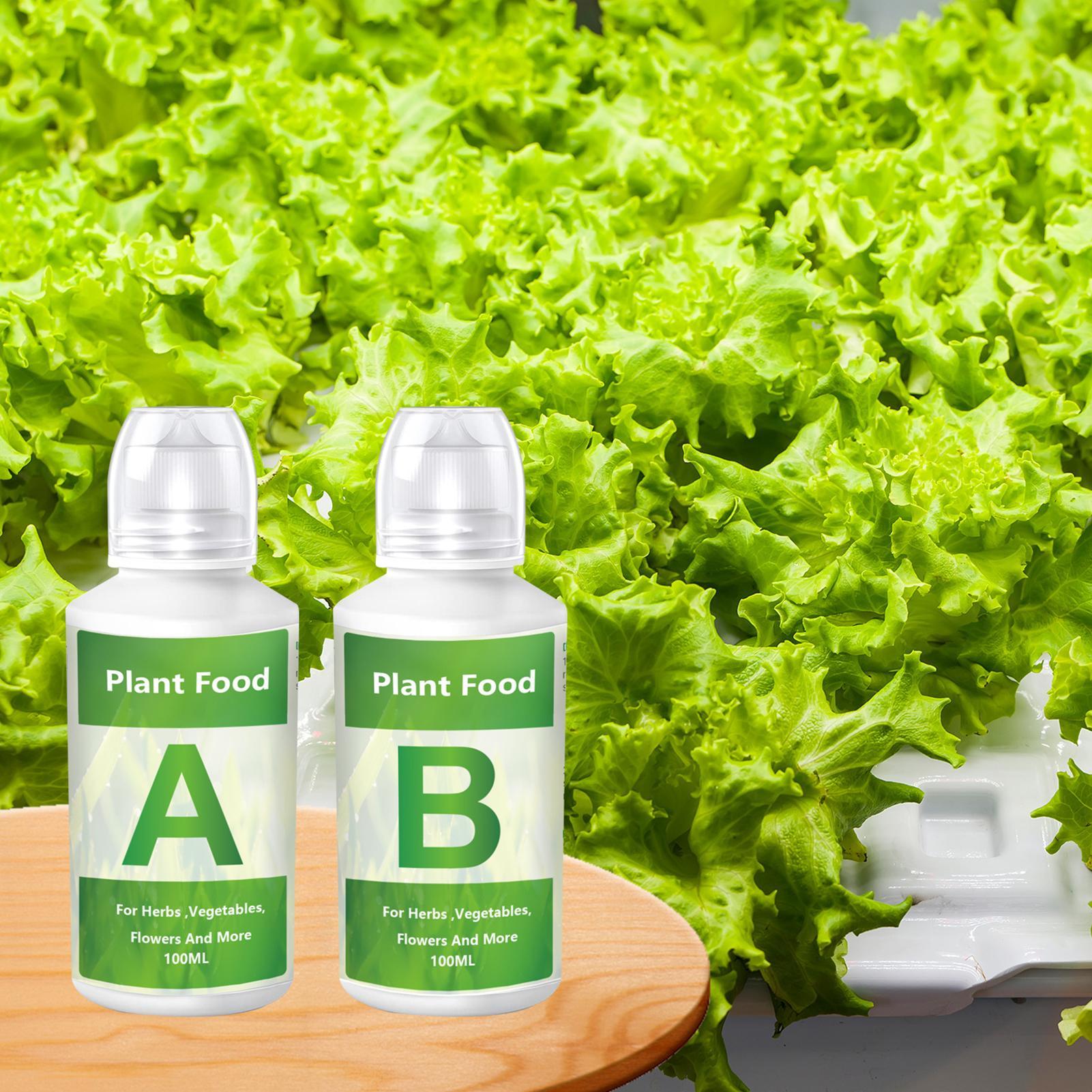 Zestaw nawozów hydroponicznych – Hydroponic Nutrient A B Set recenzja i cena
