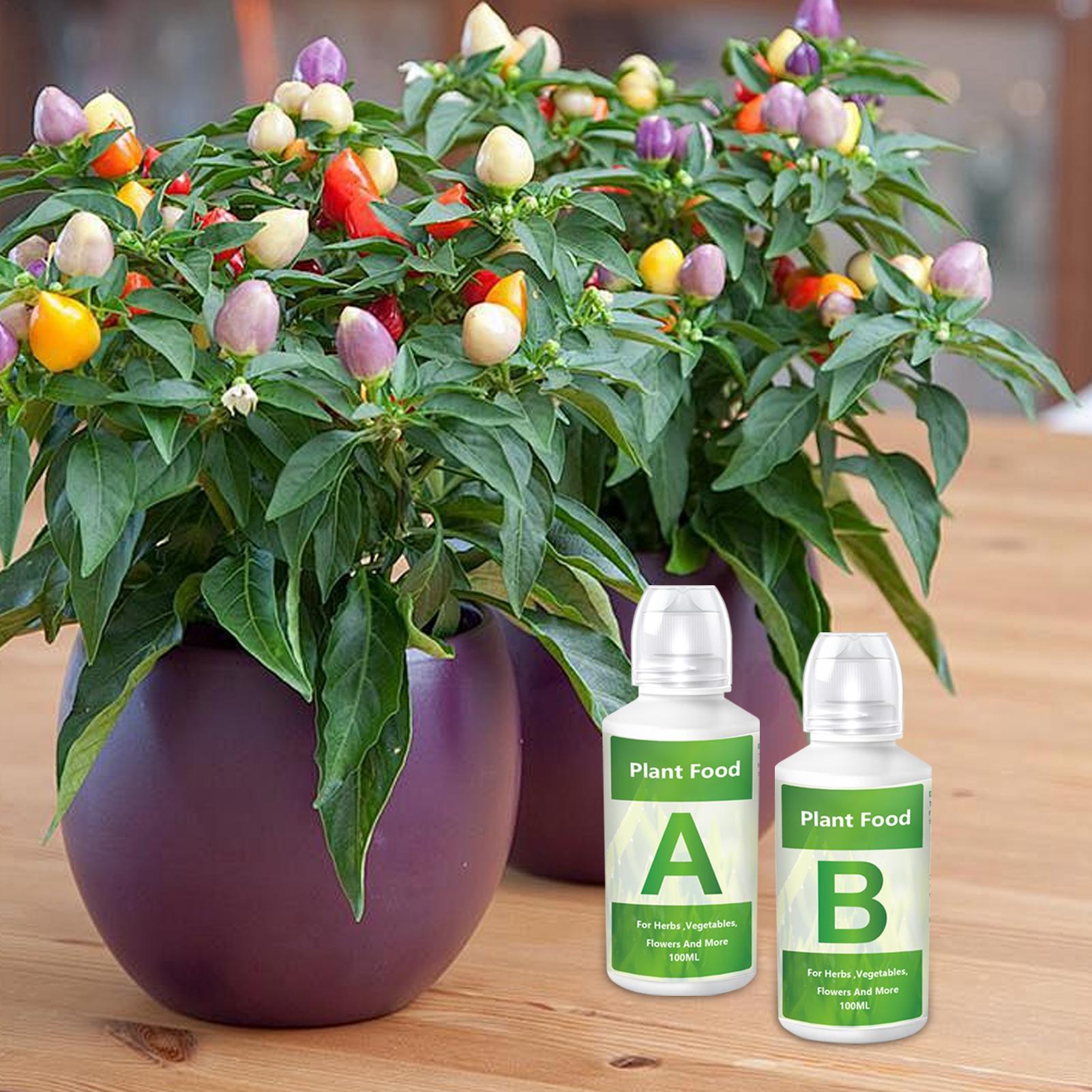 Zestaw nawozów hydroponicznych – Hydroponic Nutrient A B Set recenzja i cena