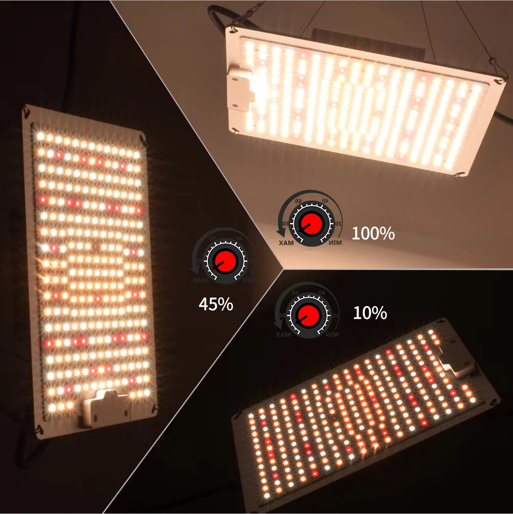 Pełne Spektrum QBC 1000W 281B  – Led Grow Light 1000W Full Spectrum recenzja i cena