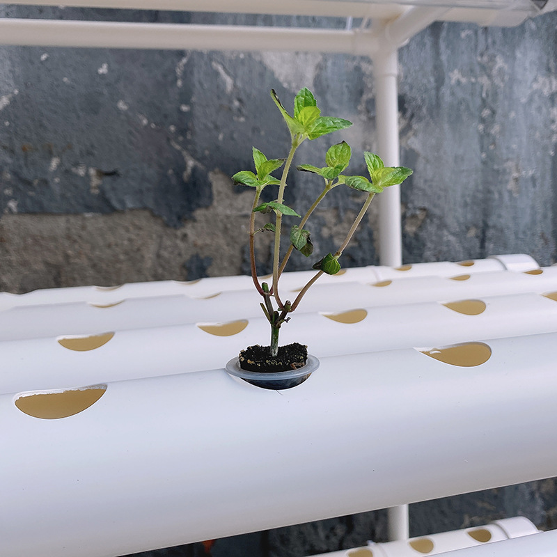 Hydroponiczna sadzarka do warz – Hydroponic Growing System 36 Site recenzja i cena