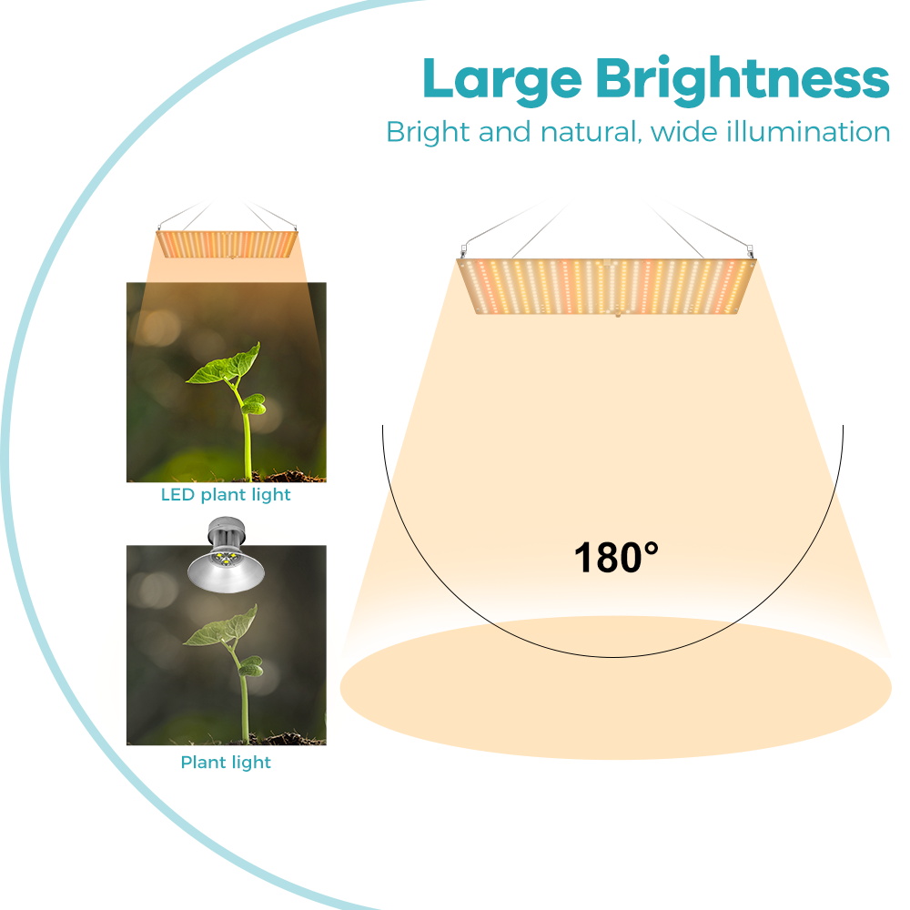 Lampa LED do uprawy roślin 800 – Led Grow Light 1000W Full Spectrum recenzja i cena